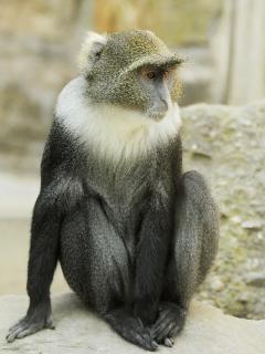 ZootierlisteHomepage