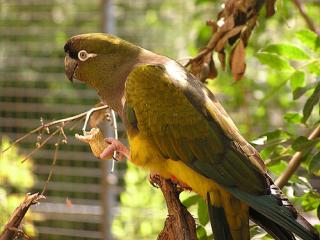 www.Zootierliste.de