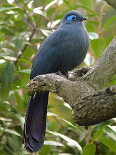 Www.Zootierliste.de