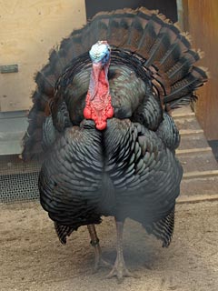 Otterfing Station Hotels Compare Hotels In Otterfing