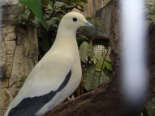 www-zootierliste-de