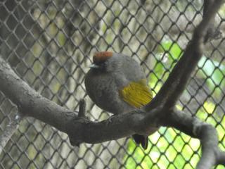 www.Zootierliste.de