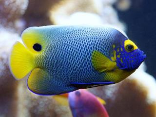 Www Zootierliste De