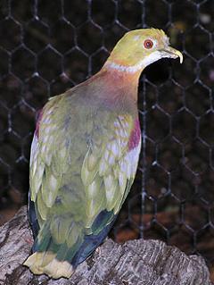 www.Zootierliste.de
